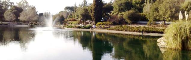 English in Menlo Park with Language International